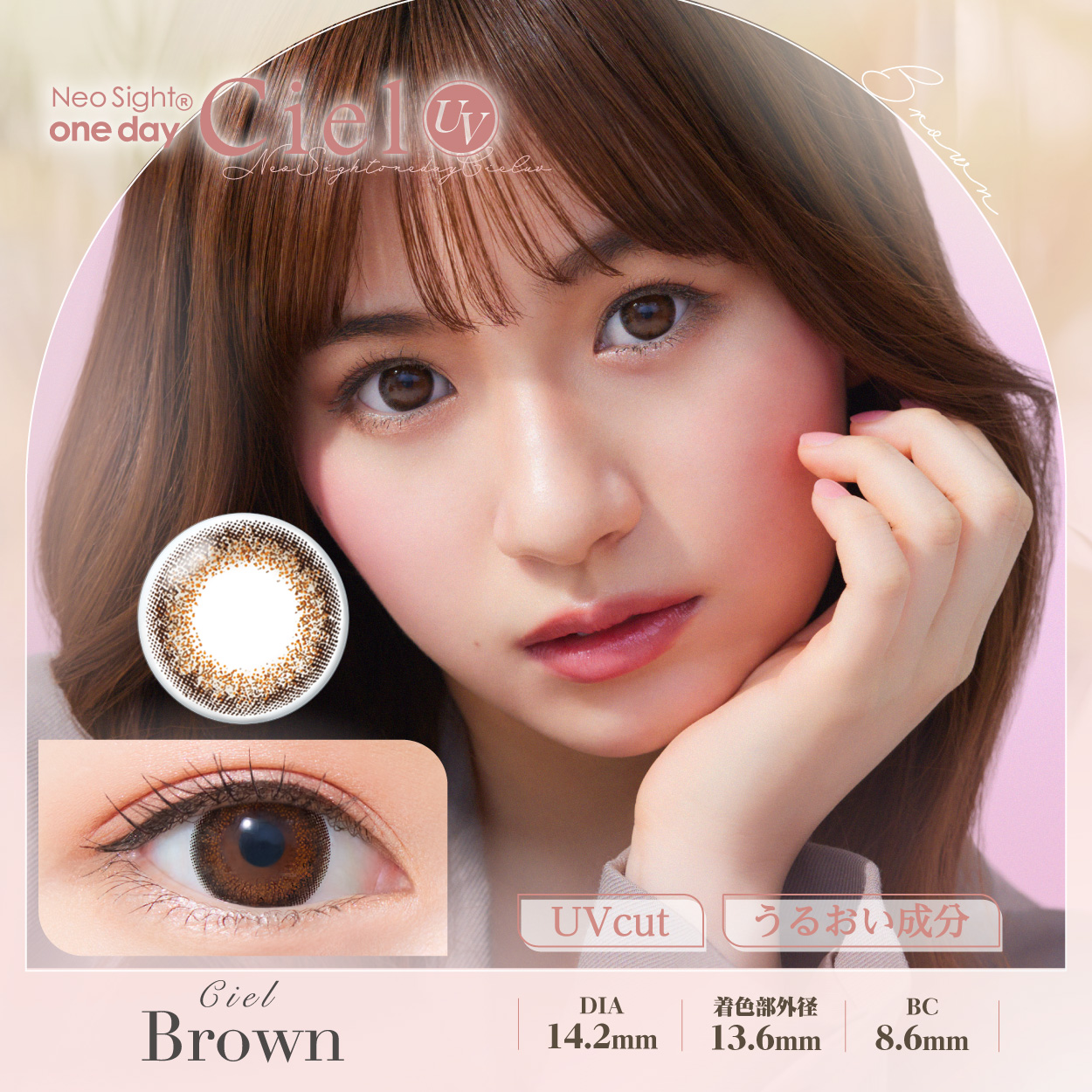 ネオサイトワンデー シエルUV シエルブラウン 30枚