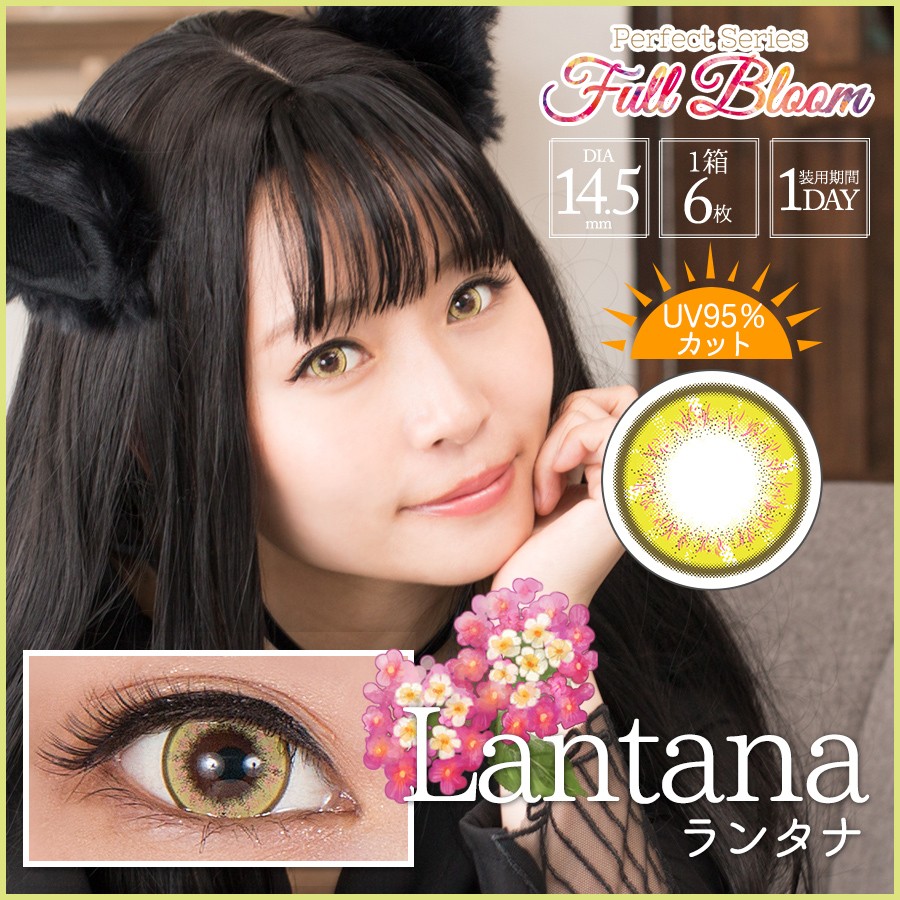ドルチェコンタクト パーフェクトワンデー フルブルーム ランタナ