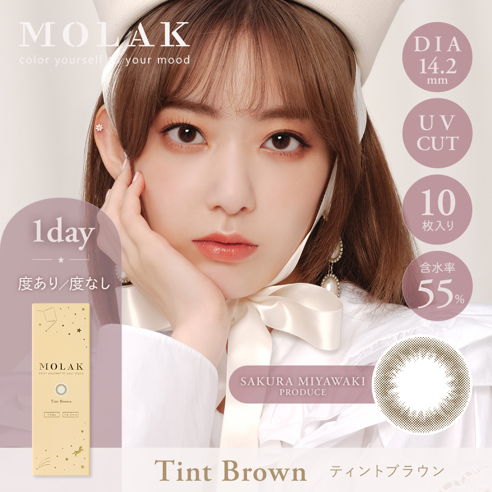 MOLAK 1day（モラクワンデー）ティントブラウン